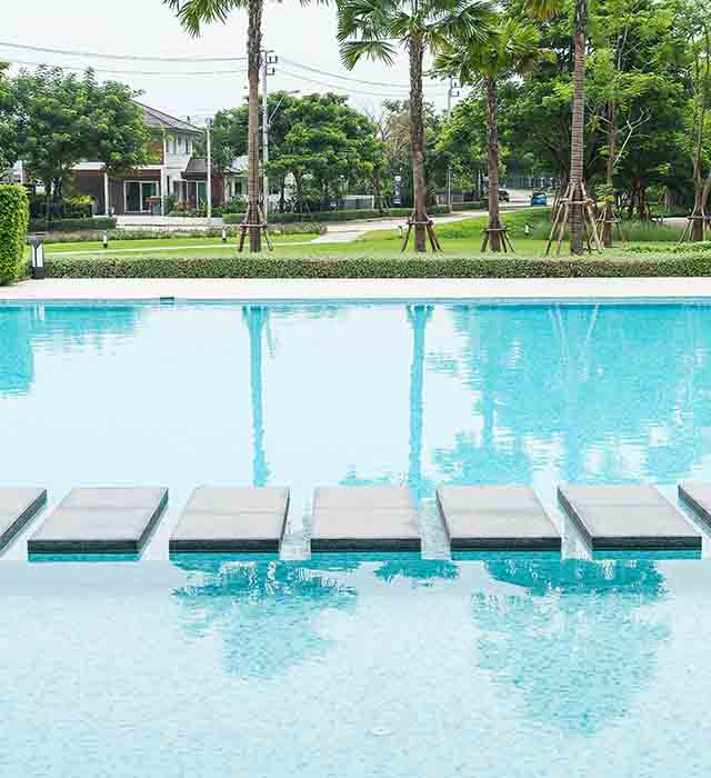 Swimming Pool and Landscaping